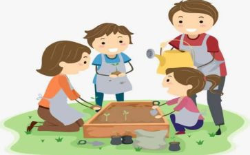 学生社会实践体会500字6篇
