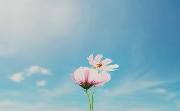 作文《二十年后的我》600字8篇