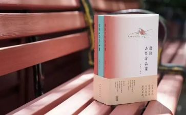 诗文的读后感5篇