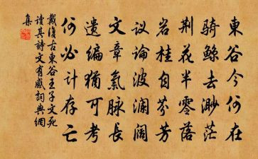 关于诗文化的作文模板7篇