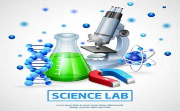 生物实验工作计划参考5篇