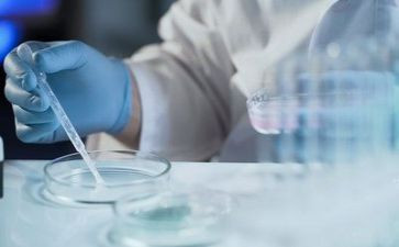 生物实验工作计划最新5篇