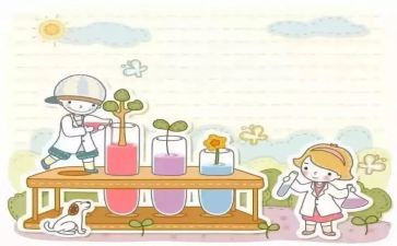 局解实验心得体会8篇