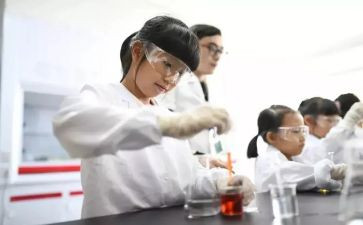 我做小实验的作文8篇