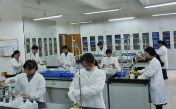 我做了一个小实验300字作文8篇