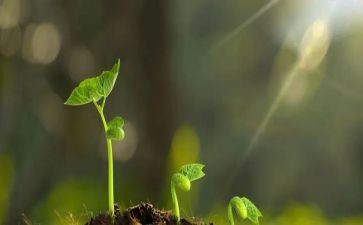 守护的读后感5篇