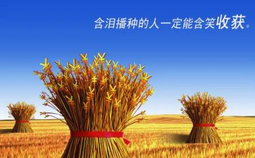 英语收获与心得体会7篇