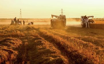 实训收获及心得通用7篇