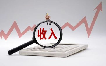 收入调查报告8篇