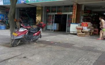 兽药店自查报告推荐8篇