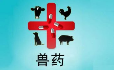 兽药店实践报告6篇