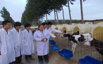 兽医师个人述职报告8篇