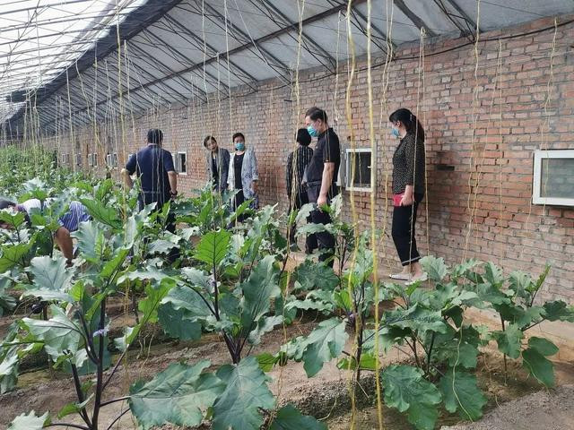 双学周心得体会6篇