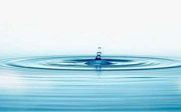 水与墨的故事读后感5篇