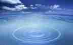水污染调查报告模板7篇