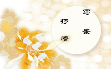 对雨抒情的作文精选8篇