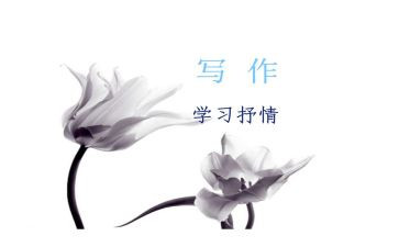 抒情类优秀作文6篇