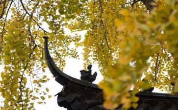 夜宿古寺教案6篇