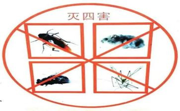四害的工作计划优质6篇