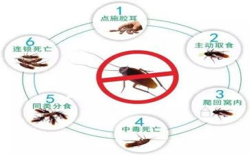 除四害工作除四害工作计划通用8篇