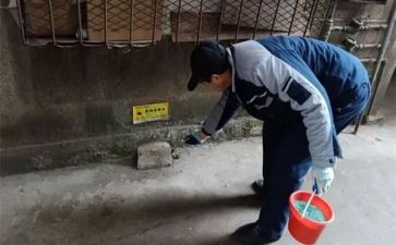 镇除四害工作计划8篇