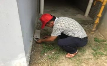除四害工作除四害工作计划7篇