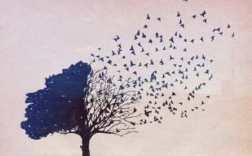 对学生思想教育的讲话稿5篇