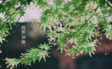 村四月安全工作总结8篇