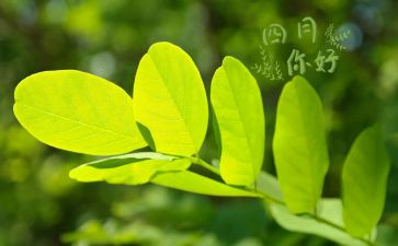 四月的工作计划6篇