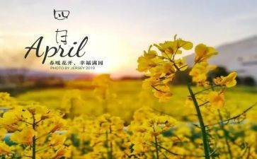 四月读书活动总结5篇
