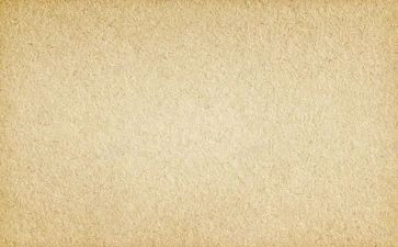作文素材名人事迹8篇