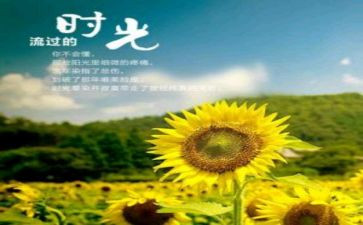 你温暖了我的岁月作文7篇