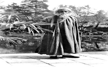 诗选泰戈尔读后感6篇