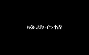 他让我感动作文800字精选7篇