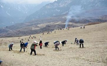 特岗教师集中培训总结7篇