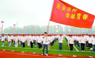 特岗教师年度个人总结8篇