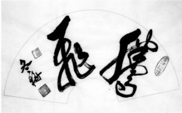 腾飞的中国龙演讲稿5篇