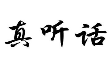听话的我作文600字5篇