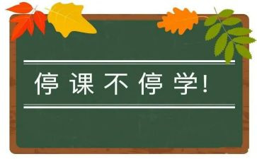 停课不停学教师心得体会6篇