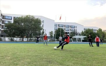 体卫工作总结6篇