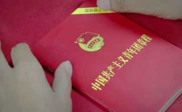 团章学心得体会6篇