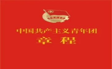 团章学心得体会5篇