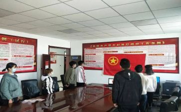 组织团组织活动总结6篇