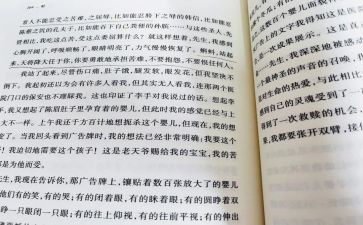 《蛙》读后感700字8篇