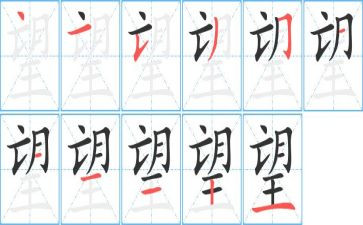 我希望的作文800字5篇