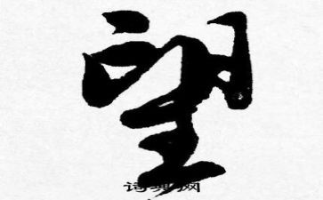 我希望更的作文优秀5篇