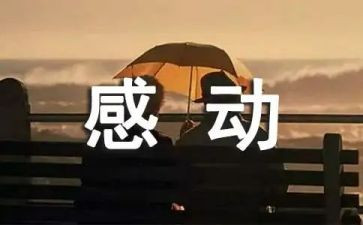 让我感动的作文7篇