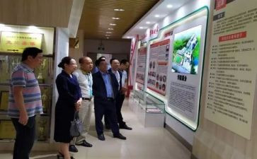 统编小学语文培训心得体会6篇