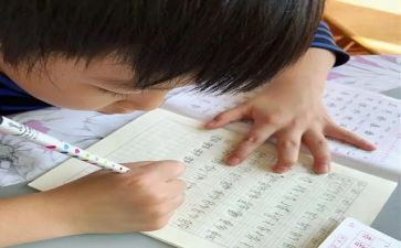 我的名字可作文精选7篇