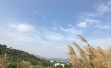 我的一天作文500字作文5篇